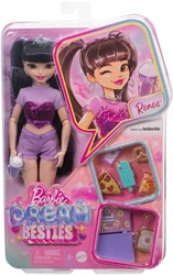 Mattel Barbie Modepuppe Dream Besties Renee mit Zubehör und lila Highlights