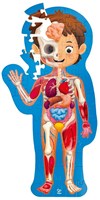Hape Puzzle Menschlicher Körper - Lernspiel für Kinder 1 Meter-2