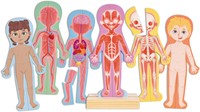 Hape Human Body Magnetic Puzzle