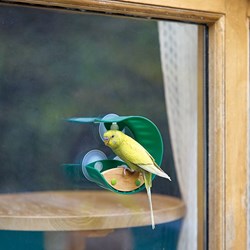 Hape Vogelhaus Lernspielzeug mehrfarbig Karton Fenster-Montage