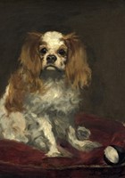 Grafika Edouard Manet: A King Charles Spaniel, 1866 - 1000 Teile