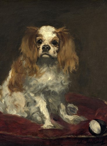 Grafika Edouard Manet: A King Charles Spaniel, 1866 - 2000 Teile