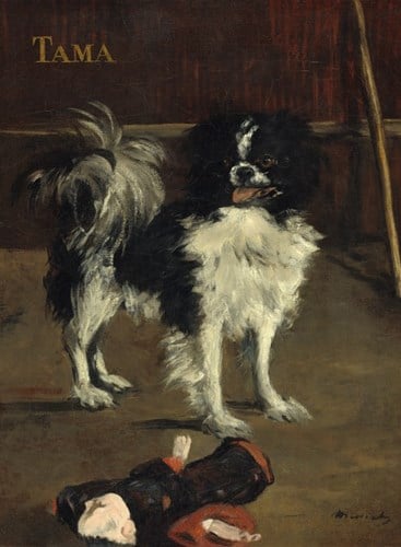 Grafika Puzzle Edouard Manet Kunst Puzzle Tama The Japanese Dog 2000 Teile