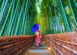 Enjoy Puzzle Puzzle Asian Woman im Bambuswald - 1000 Teile