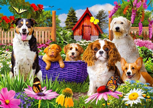 Enjoy Puzzle Welpen - 1000 Teile