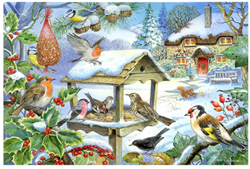 House of Puzzles DUE OCT Feed The Birds BIG 250 Puzzle