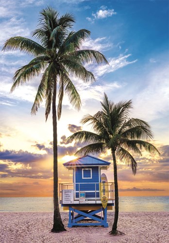 Pzl 500 HQC Miami Beach Florida 2025