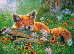 Castorland Puzzle Foxy Dreams - 100 Teile Spielzeug Puzzle