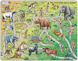 Larsen Puzzle - Evolution vom Affen zum Menschen - Lernspielzeug - 83 Teile