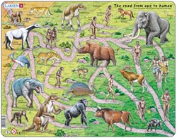 Larsen Puzzle - Evolution vom Affen zum Menschen - Lernspielzeug - 83 Teile