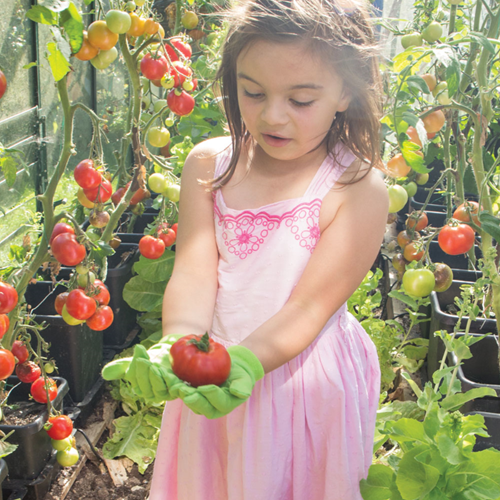 BigJigs Baumwoll-Gartenhandschuhe - Grün für Kinder-2