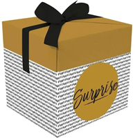 Graine Creative Karton Geschenkbox 15x15x15 cm gold schwarz luxuriös