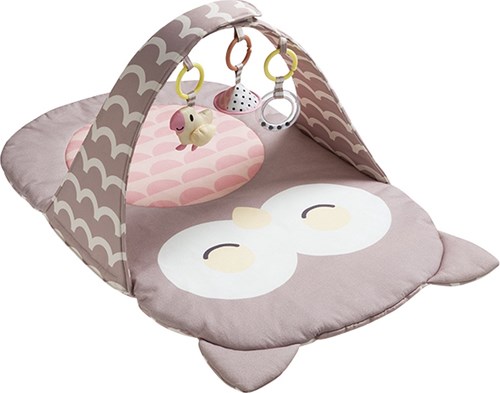Hape babygym Uil Oscar