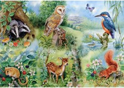 HOP - House of Puzzles XXL Pieces - Nature Study -  Teile