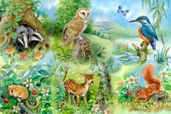 House of Puzzles Nature Study BIG 250 Puzzle