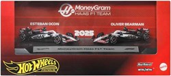 HOT WHEELS PREMIUM FORMULA 1 2 - PACK: MONEYGRAM HAAS F1 TEA
