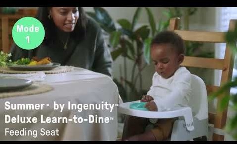 Ingenuity Kindersitz Deluxe Learn-to-Dine Sitzerhöhung multicolor-3