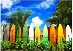 Eurographics puzzle Das Paradies für Surfer - Hawaii - 1000 Teile