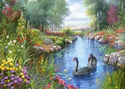 Castorland Puzzle Black Swans Andres Orpinas - 1500 Teile - Puzzle