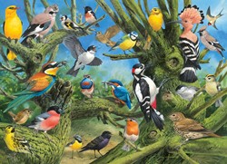 Eurographics Garden Birds – Joahn Francis (1000)