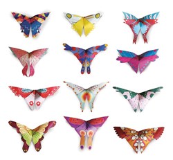 Ludattica Origami Spielzeug - Schmetterlinge Bastelset Papier Filz 12 Stück