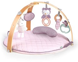 Ingenuity Activity Gym Baby Spielmatte Wende Cozy Spot Calla Multicolor
