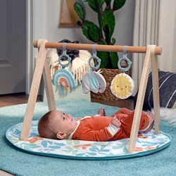 Ingenuity Holz Baby Gym Sun Valley Spielmatte mit Spielbogen mehrfarbig
