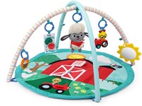 Baby Einstein Spieldecke Happy Harvest Touch & Feel Activity Gym