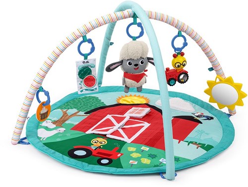 Baby Einstein Spieldecke Happy Harvest Touch & Feel Activity Gym