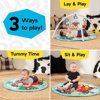 Baby Einstein Spieldecke Happy Harvest Touch & Feel Activity Gym-2