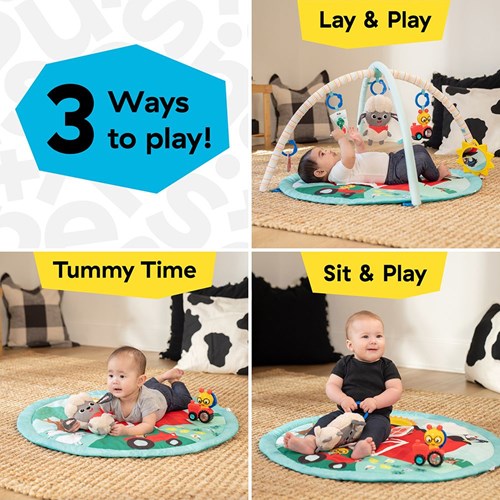 Baby Einstein Spieldecke Happy Harvest Touch & Feel Activity Gym-2