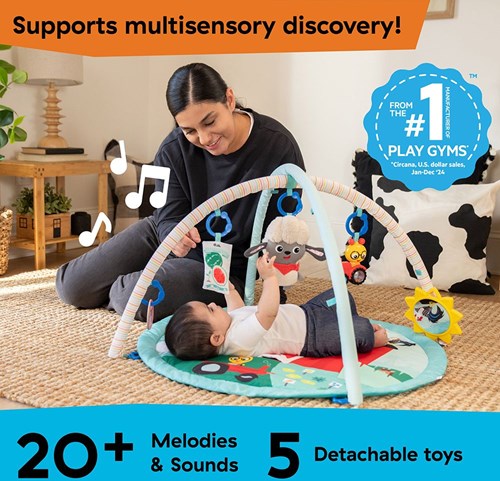 Baby Einstein Spieldecke Happy Harvest Touch & Feel Activity Gym-3