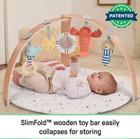 Ingenuity Babygym Spielmatte Cozy Spot Wende-Haven-3