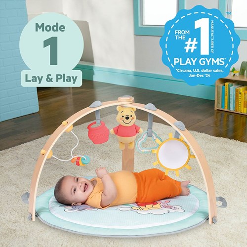 Bright Starts Winnie the Pooh Spieldecke Baby Gym mit Aktivitäten-2