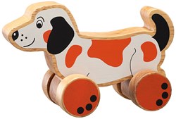 Lanka Kade Push Along – Hund