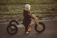 Trybike houten loopfiets 4 in 1 roze