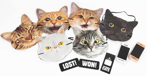 LIKE HERDING CATS-2
