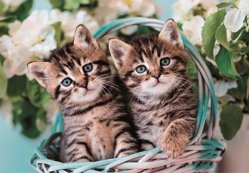 Clementoni Puzzle Lovely Kitty Twins - 60 Teile - Karton - Kinderpuzzle