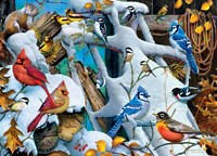 Master Pieces Puzzle Audubon Schneevögel 1000 Teile Puzzle Spaß
