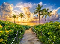 Castorland Puzzle Miami USA - Landschaft 3000 Teile Jigsaw