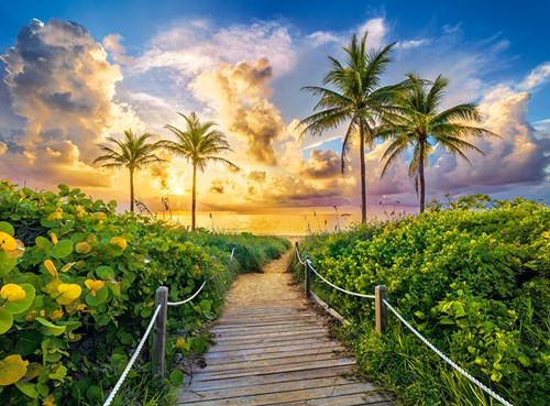 Castorland Puzzle Miami USA - Landschaft 3000 Teile Jigsaw
