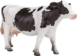 Bauernhoftiere