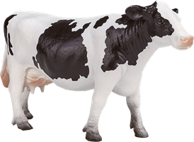 Bauernhoftiere