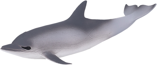 Mojo Sealife speelgoed Gewone Dolfijn - 387358