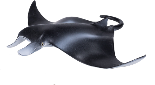 Mojo Sealife Spielzeug Manta Rochen - 387353