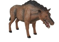 Mojo speelgoed dinosaurus Entelodont Daeodon - 387156