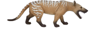Mojo Spielzeug-Dinosaurier Hyaenodon Gigas - 387157-2