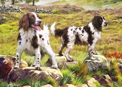 Otter House Puzzle Spaniel on Moor - 1000 Teile