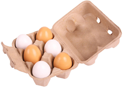 Bigjigs Eierbox mit 6 Eiern