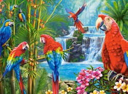 Castorland Puzzle Parrot Meeting - 2000 Teile Puzzle